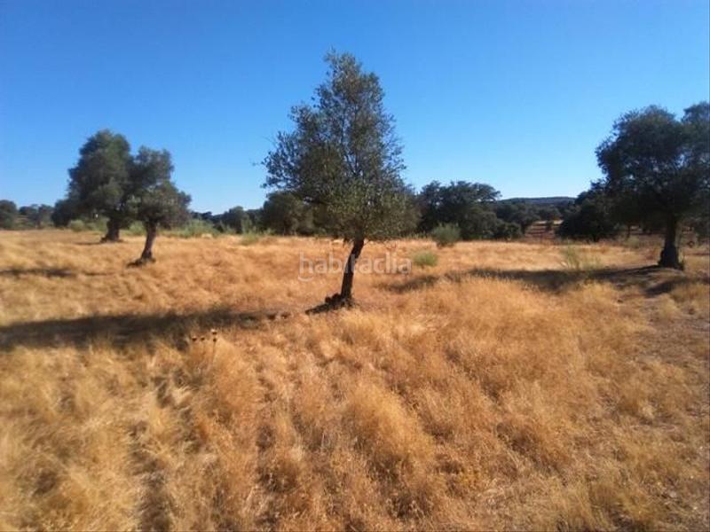 Foto 6e6dbfd7-fe7f-48fd-9a09-d531f3a329c5. Terrain résidentiel dans Valsequillo