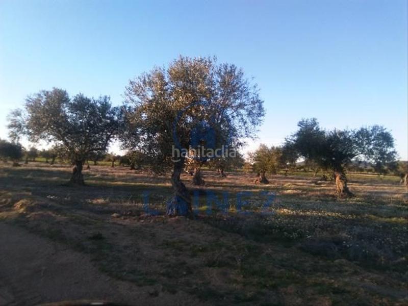 Foto 7e5533fd-f91b-4dc7-bad0-b65cfc36d676. Terrain résidentiel dans Valsequillo