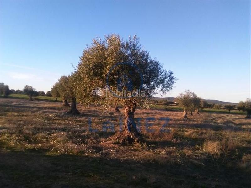 Foto 85a28022-e5aa-44de-bb19-bd900d2879f3. Terrain résidentiel dans Valsequillo