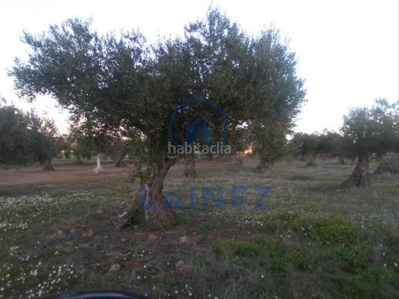 Foto c13ad1d5-24df-4c32-b3aa-7e8d329d8aaf. Terrain résidentiel dans Valsequillo