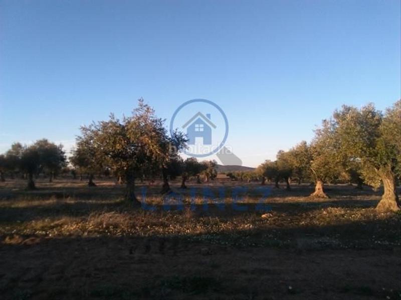 Foto c766232d-c1b9-496d-99f7-394d9104f4db. Terrain résidentiel dans Valsequillo