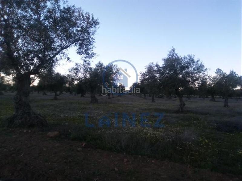 Foto ceda59b6-db79-4d5d-9d9c-2e91752ff0d2. Terrain résidentiel dans Valsequillo