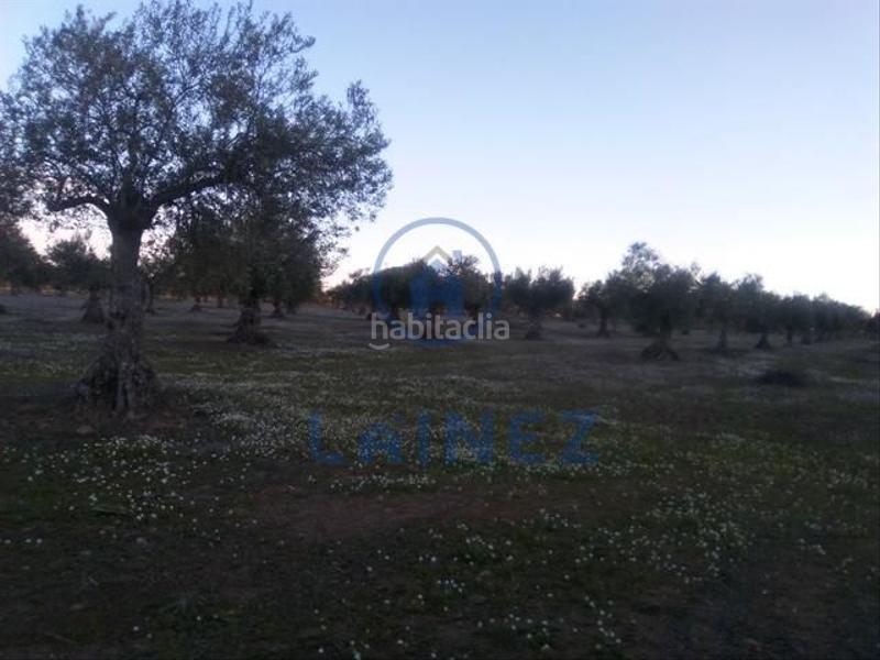 Foto e2257be8-2c6d-4c14-bafe-5ea31201f4fd. Terrain résidentiel dans Valsequillo