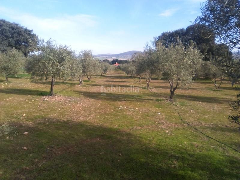 Foto 053b98b8-d96c-46f3-98da-87a8b23960af. Finca rústica a Granjuela (La)