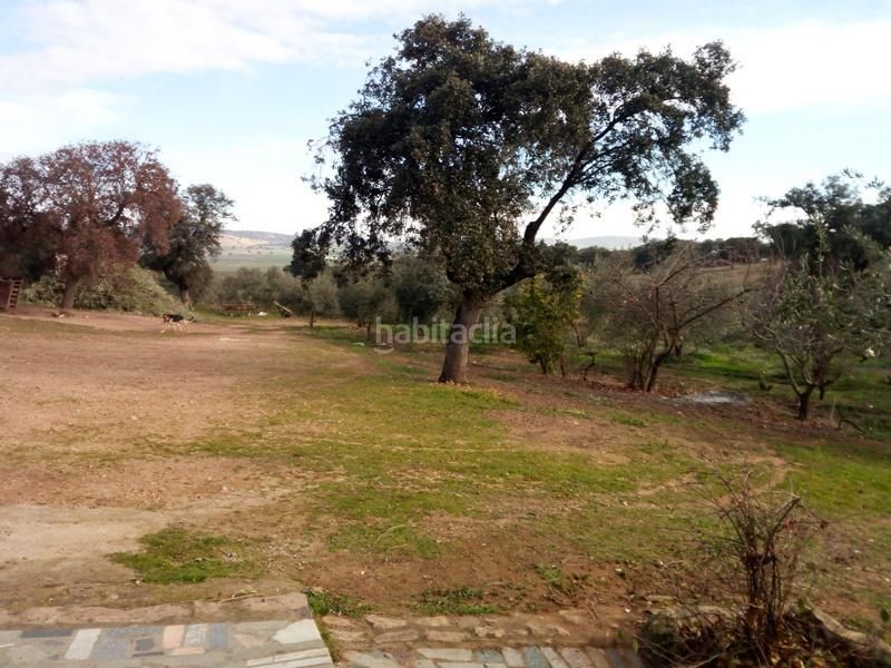 Foto 5f5d8477-02d1-46e6-9475-ea10b6abe348. Finca rústica a Granjuela (La)