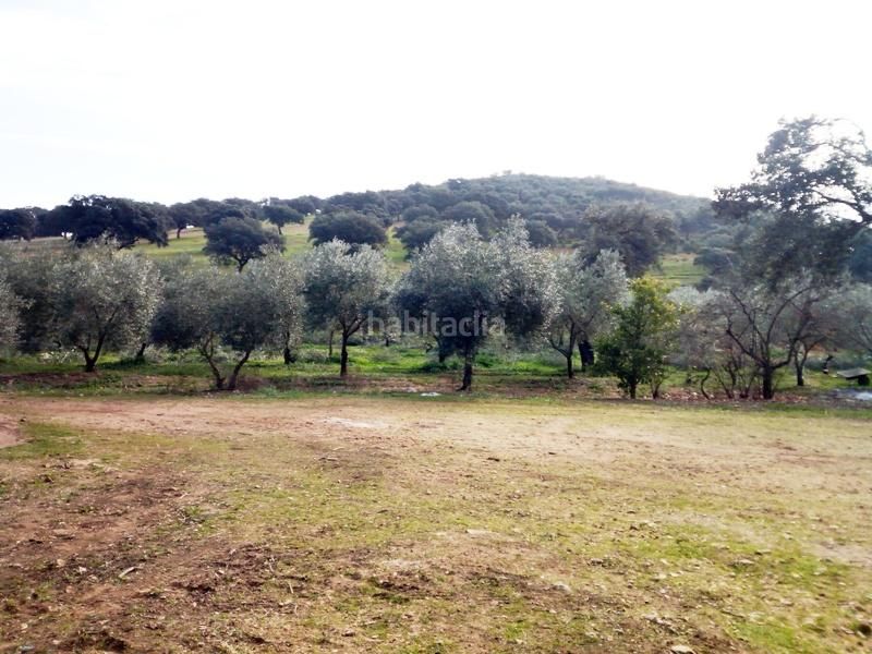 Foto 72a226d8-d9d3-4a7b-aef3-da0e7954551b. Finca rústica a Granjuela (La)
