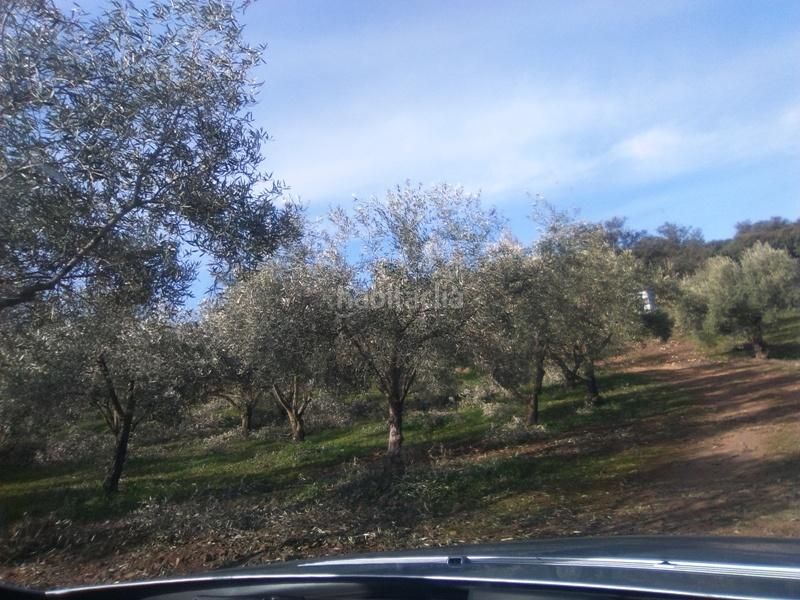 Foto a363423c-617a-43f7-b899-7d577f6f570b. Finca rústica a Granjuela (La)