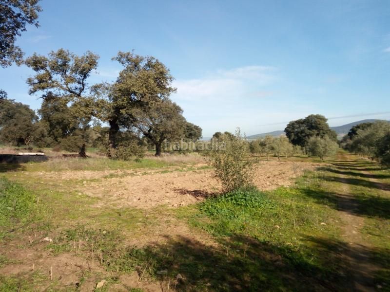 Foto fa9be0d1-e3c2-466d-843f-4d2580828dc1. Finca rústica a Granjuela (La)