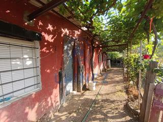 Propriété à El Brillante -El Naranjo - El Tablero. Parcela de olivos en venta en villanueva del rey