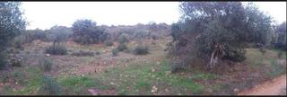 Terreny residencial a Villanueva del Duque. Parcela rustica 
parcela rustica cerca del paraje el viñon en v