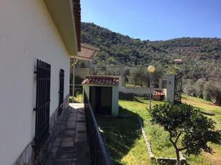Terreny residencial a Villanueva del Rey. Parcela, chalet y olivar 
!! ven a verla!! excelente parcela co