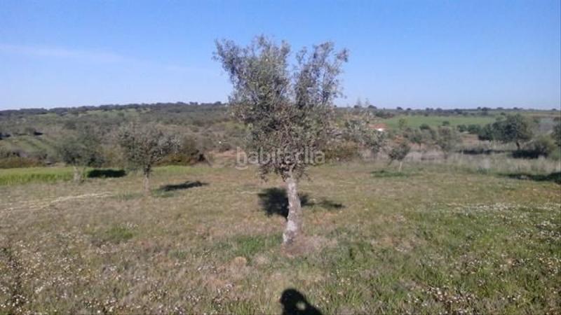 Foto 7dfce7f6-59b5-4ab2-8317-809007e88e1b. Terrain résidentiel dans Valsequillo