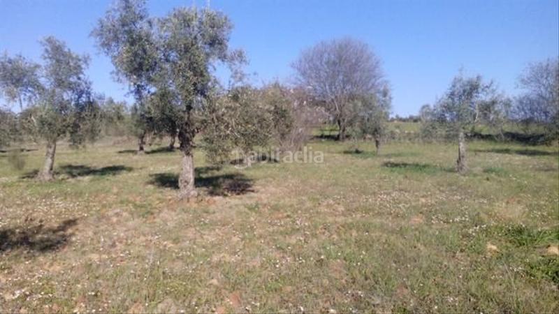 Foto 893ae98c-018d-4586-bea0-732d3f9559ad. Terrain résidentiel dans Valsequillo