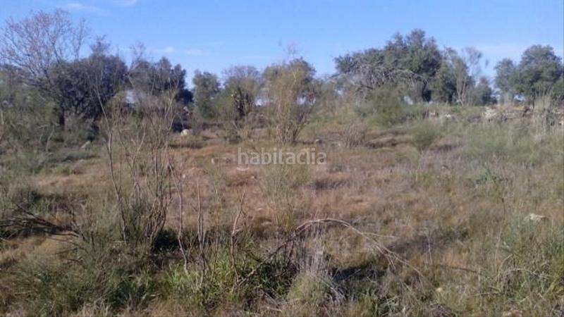 Foto cb52f699-eaa3-484e-ab83-84d1a443b1ce. Terrain résidentiel dans Valsequillo