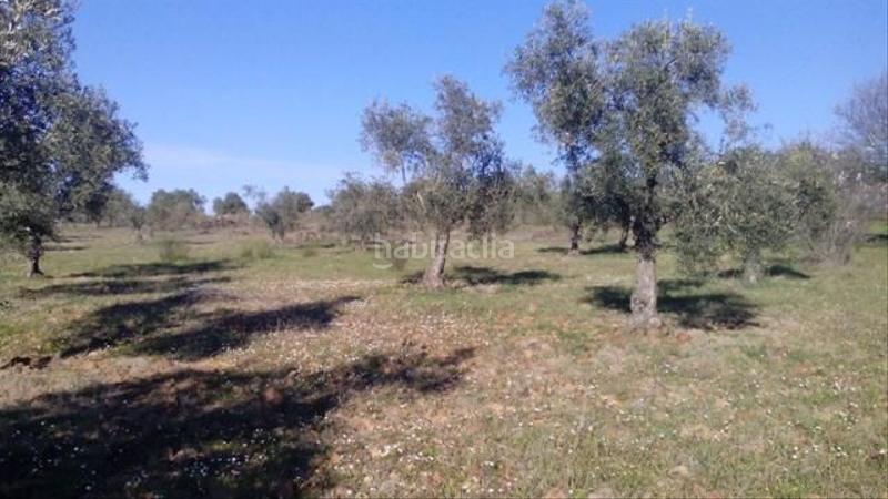 Foto d02cba5c-3dbf-4c49-9379-4d99c915f688. Terrain résidentiel dans Valsequillo