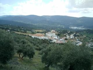 Terreny residencial a Villaharta. A 150 m del pueblo 
finca de olivar con una superficie de 19. 0