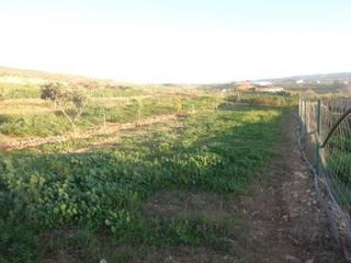 Terreny residencial a Peñarroya - Pueblonuevo. Parcela con 3. 000 metros cuadrados de superficie. esta completa