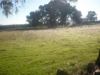 Terreny residencial a Peñarroya - Pueblonuevo. Terreno de 45. 000 m2 y casa de 200m2 cada planta lo que hace un