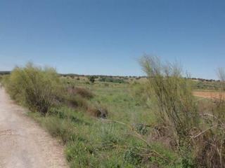 Terreny residencial a Hinojosa del Duque. Parcela con una superficie de 6800 m2, totalmente plana . tiene