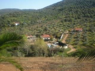 Terreny residencial a Villanueva del Rey. Chalet de nueva construcción en una parcela de 30. 000 m2 , situ
