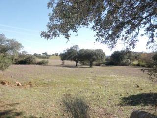 Terreny residencial a Fuente Obejuna. Finca de labor en el municipio de fuente obejuna situada en los