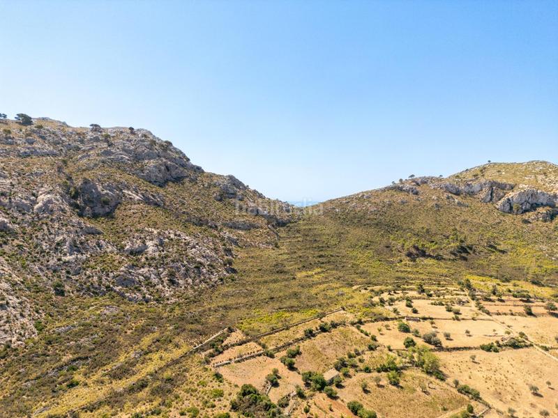 Foto fa878dd8-c7f4-4f9d-9eb6-aa259aaaea73. Casa in Andratx Andratx
