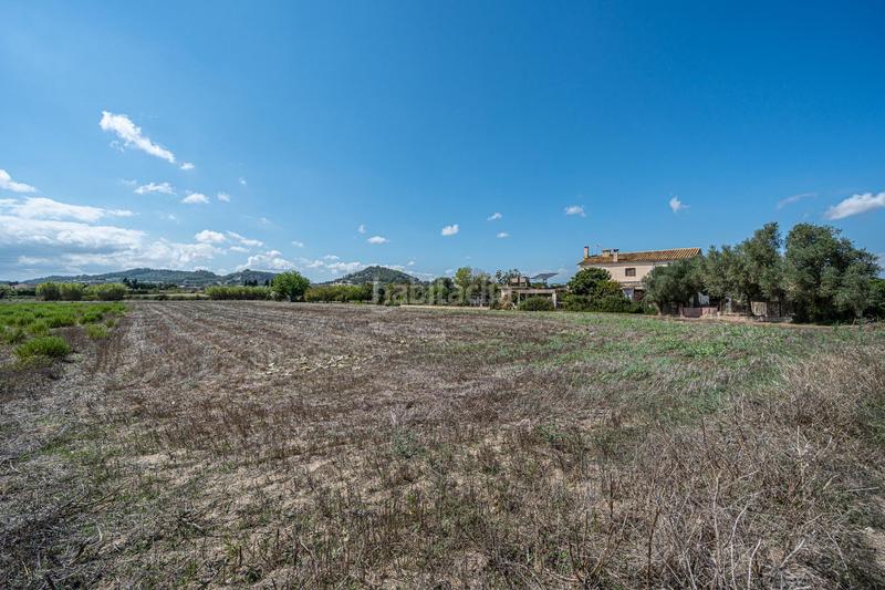 Foto 114e56b6-4c76-4cf8-b73e-8bf02f22f55f. Finca rústica a Sant Joan