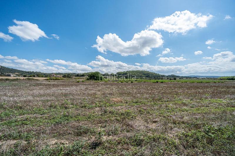 Foto 2c6f66de-9425-464b-b34c-32265cc8dd42. Finca rústica a Sant Joan