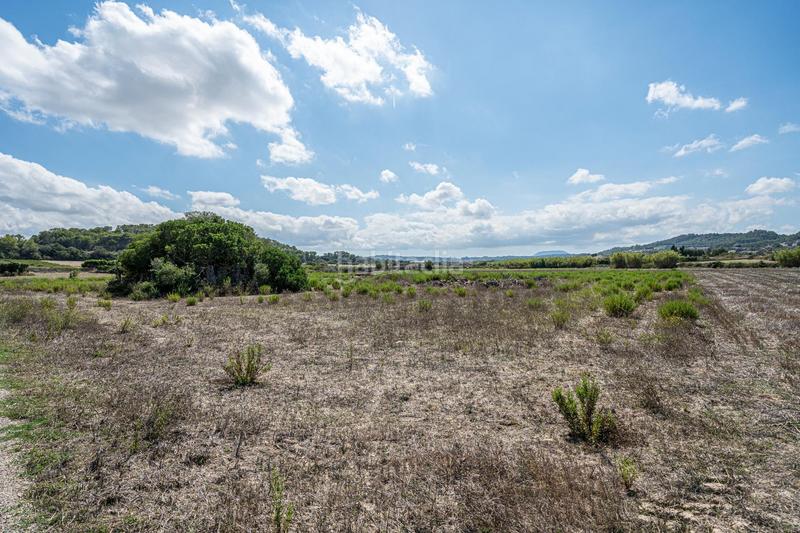 Foto 6040c355-d625-48bd-9188-99f1ba3cb0f0. Finca rústica a Sant Joan