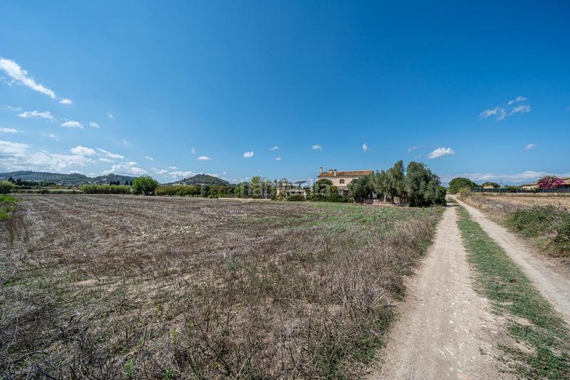 Foto d857df3b-56b5-44b1-a0ec-2fb1a45af839. Finca rústica a Sant Joan