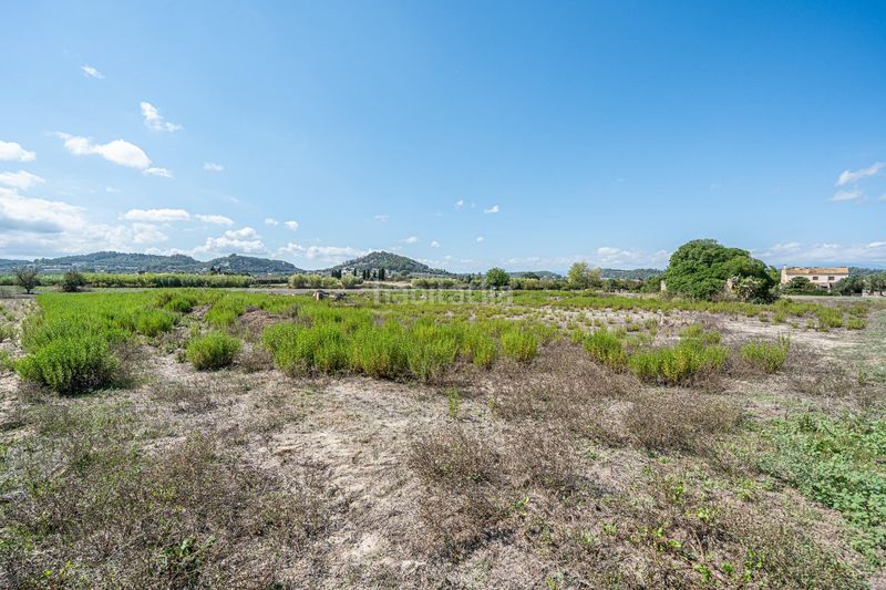 Foto b5ba26c8-2dea-45fd-99d1-a3e6b877af7e. Finca rústica a Sant Joan