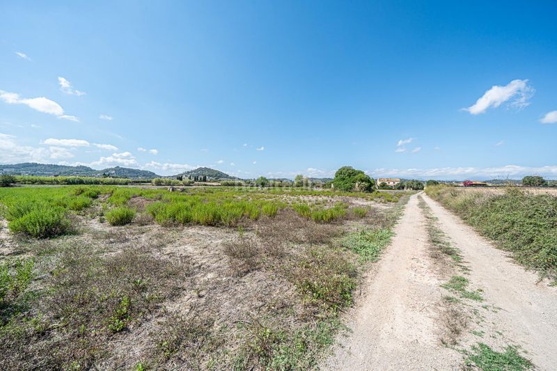 Foto d1ebfdea-191e-4ba5-8d0a-b393170ee601. Finca rústica a Sant Joan