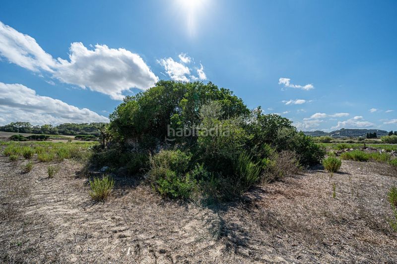 Foto edd0cab1-5872-442e-94b9-64deb2478f52. Finca rústica a Sant Joan