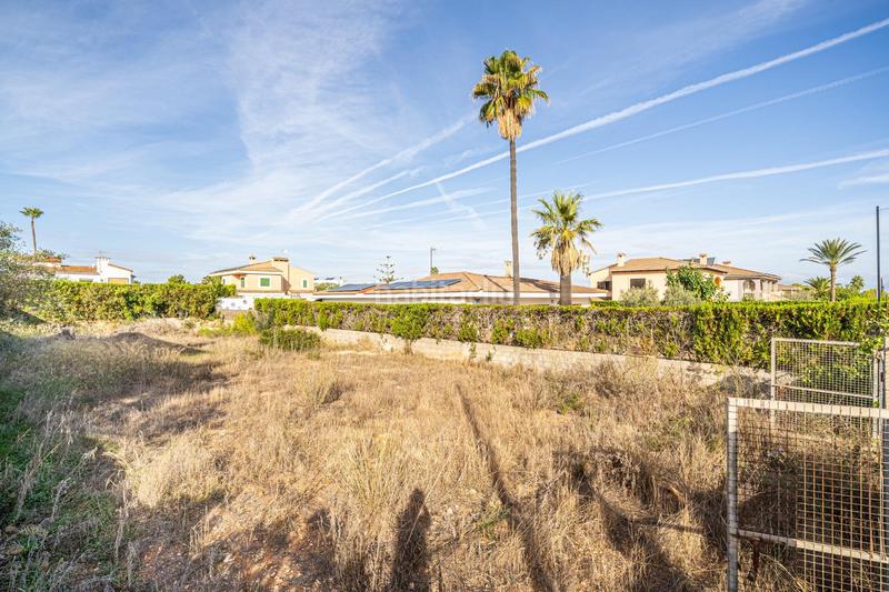 Foto 113d290a-ecb4-4ba5-a75b-9f053fcf5456. Terreny residencial a Ses Palmeres Llucmajor