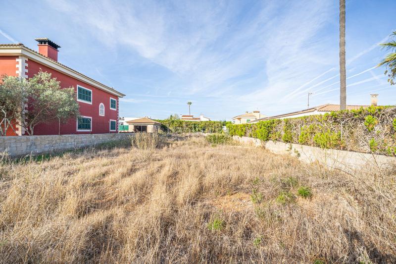 Foto 1b1feab5-4925-4423-b441-e01ca0d79fa4. Terreny residencial a Ses Palmeres Llucmajor