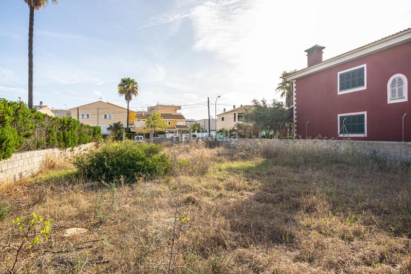 Foto 3d0dbb5a-817c-4144-8185-fd1da9204c8b. Terreny residencial a Ses Palmeres Llucmajor