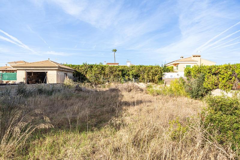 Foto 50386f49-eafb-4ba8-8ca8-e3e62c967e3d. Terreny residencial a Ses Palmeres Llucmajor