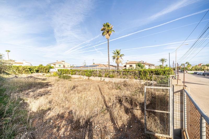 Foto 60329bb4-5adf-4d2e-a0c9-734ff5a62a61. Terreny residencial a Ses Palmeres Llucmajor