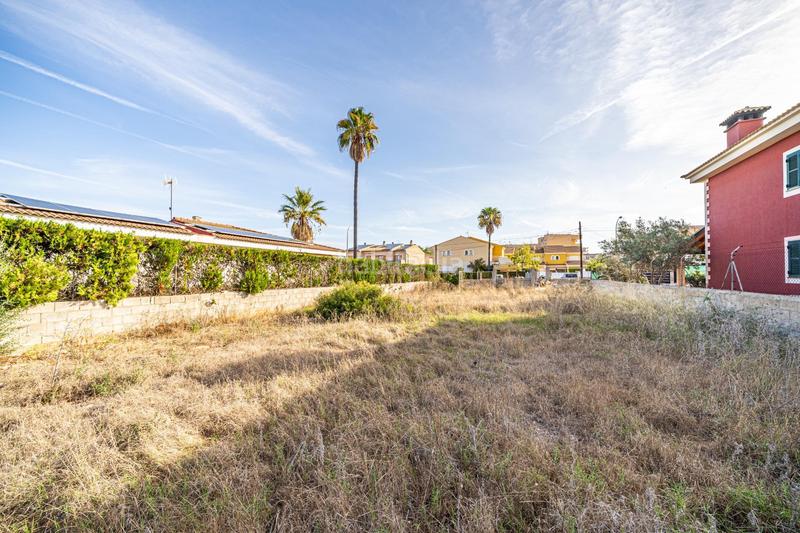 Foto 80909d6f-7650-4806-8618-971ef217831e. Terreny residencial a Ses Palmeres Llucmajor