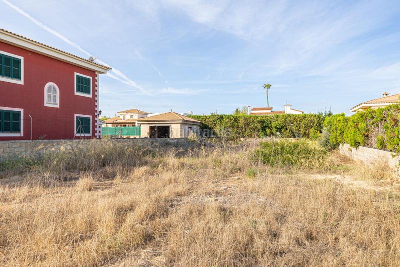 Foto b7fc4295-6c87-480e-8bcb-5d0522786dfe. Terreny residencial a Ses Palmeres Llucmajor