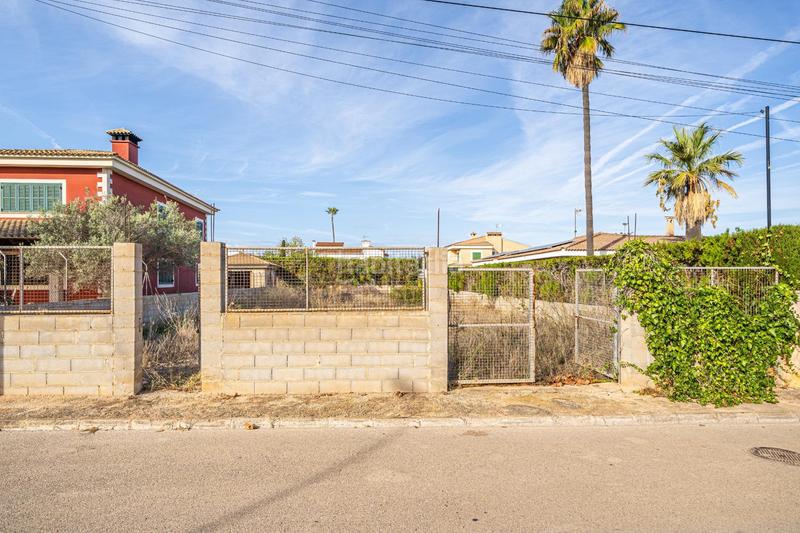 Foto ce37d516-849e-4e52-a4ea-084a6532f990. Terreny residencial a Ses Palmeres Llucmajor