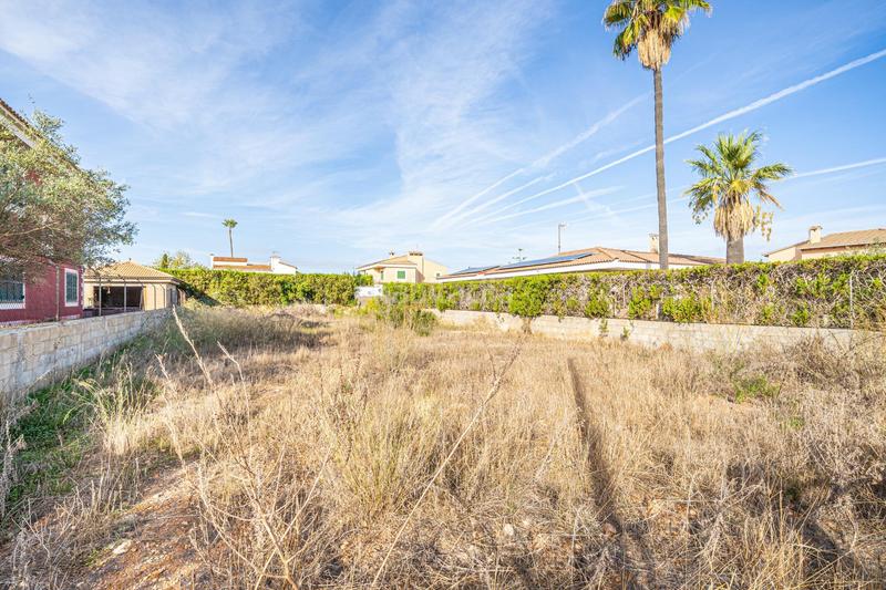 Foto fb6f405c-c699-4f27-8f0e-42865a5def2b. Terreny residencial a Ses Palmeres Llucmajor