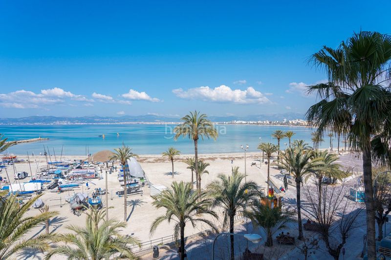 Foto 8c74cb5f-08bc-47a3-8913-f41f0527e750. Pis amb aparcament a S´Arenal Llucmajor