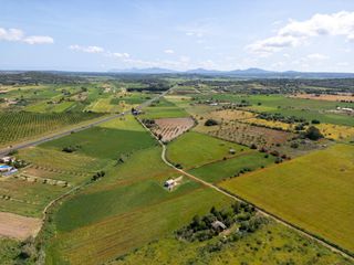 Finca rústica  Carretera de sineu a ariany. Terreno rústico con casa de aperos