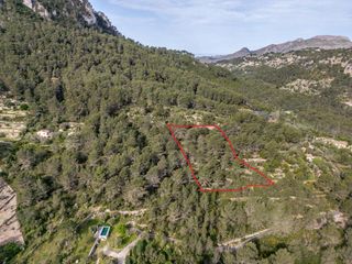 Finca rústica  Polígono de puigpunyent. Dos terrenos que suman 19835m2 en puigpunyent