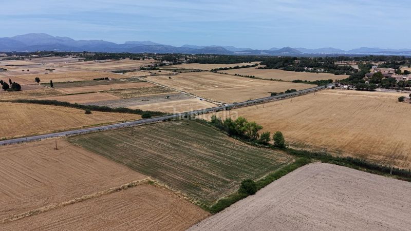 Foto 07d1f82e-9edf-4e99-a4ee-d73b7165af82. Finca rústica a Santa Margalida poble Santa Margalida