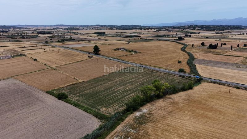 Foto 2248fa10-d694-484b-828c-b90db79b6e06. Finca rústica a Santa Margalida poble Santa Margalida