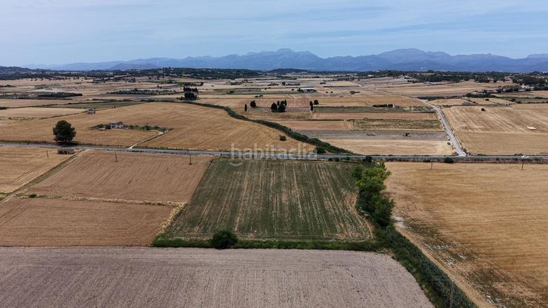 Foto be8e8ab7-4e35-469c-8294-a7209fb57081. Finca rústica a Santa Margalida poble Santa Margalida
