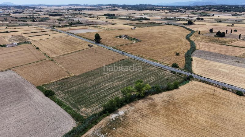 Foto c81c910a-659f-4eff-a83d-2f31ed345da3. Finca rústica a Santa Margalida poble Santa Margalida