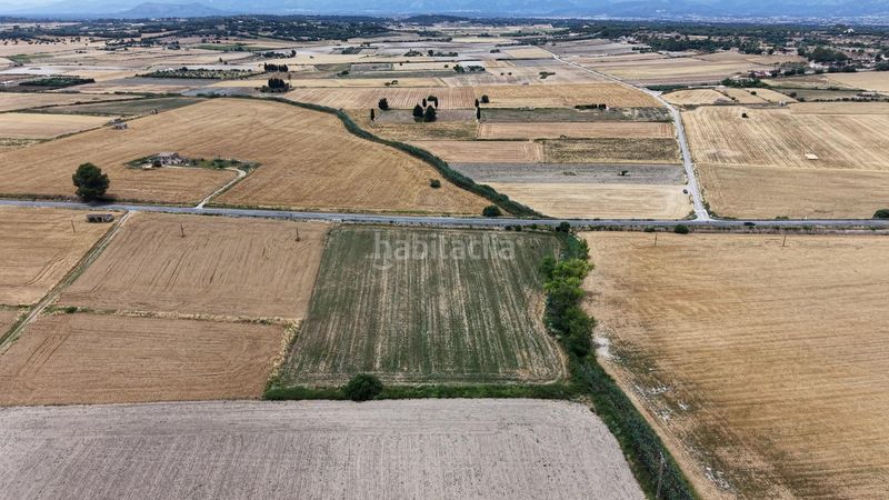 Foto d8873dd6-a50f-4ffa-b139-9c4e94e6881a. Finca rústica a Santa Margalida poble Santa Margalida